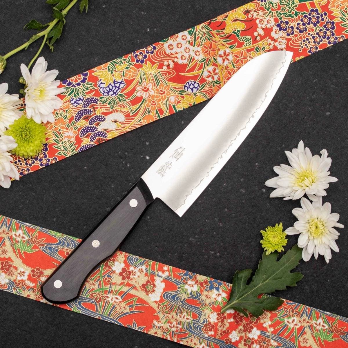 Suncraft SENZO ENTREE knife set in gift box EN_0302 4